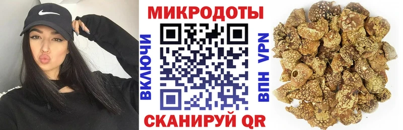 Купить закладки  Конаково  Псилоцибиновые грибы Psilocybine cubensis 